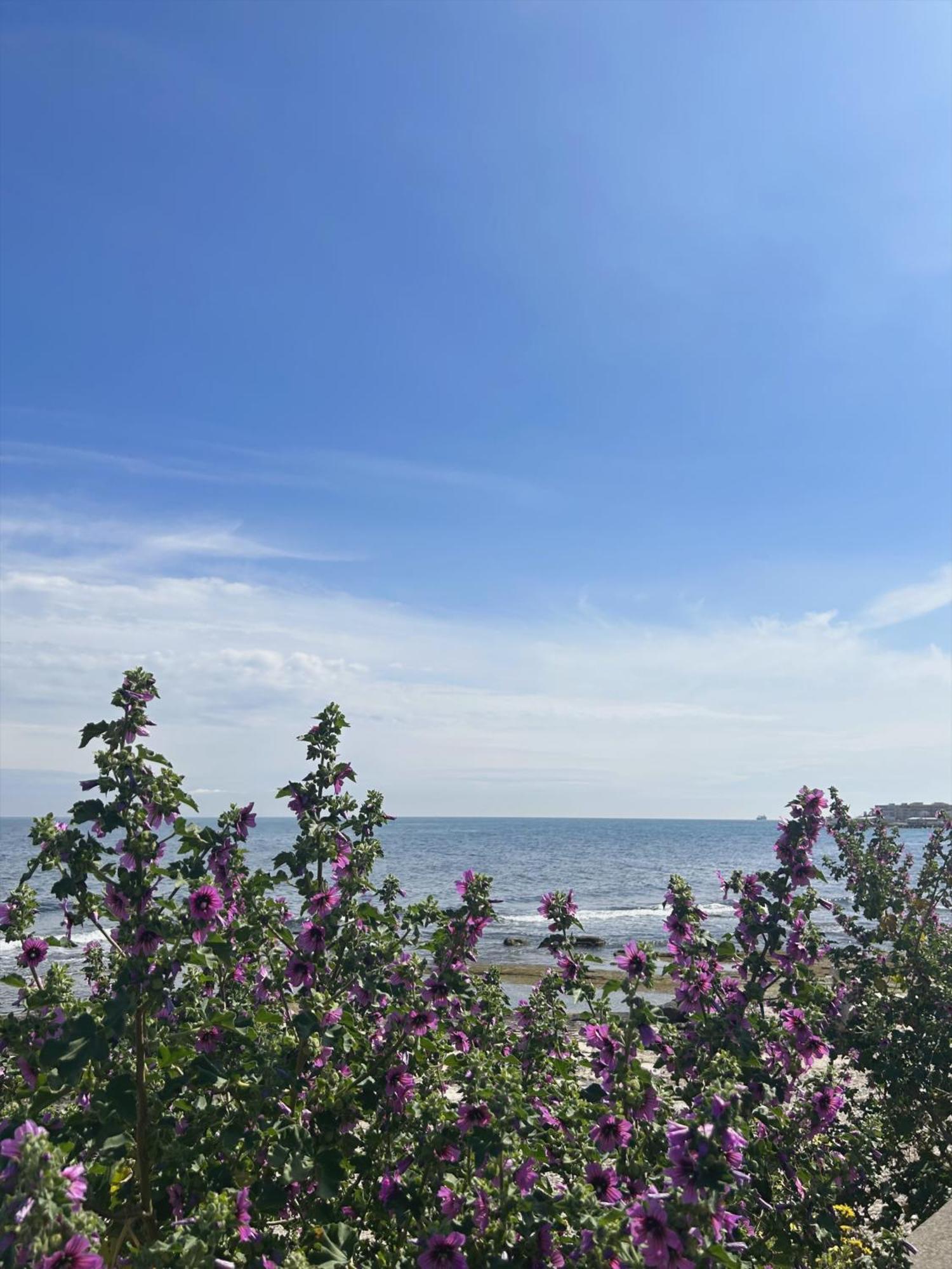 Orchidea Bed & Breakfast Bari Dış mekan fotoğraf